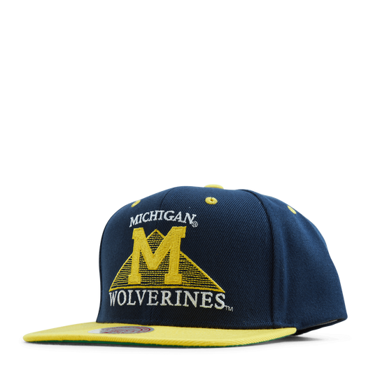 Michigan Monument Snapback